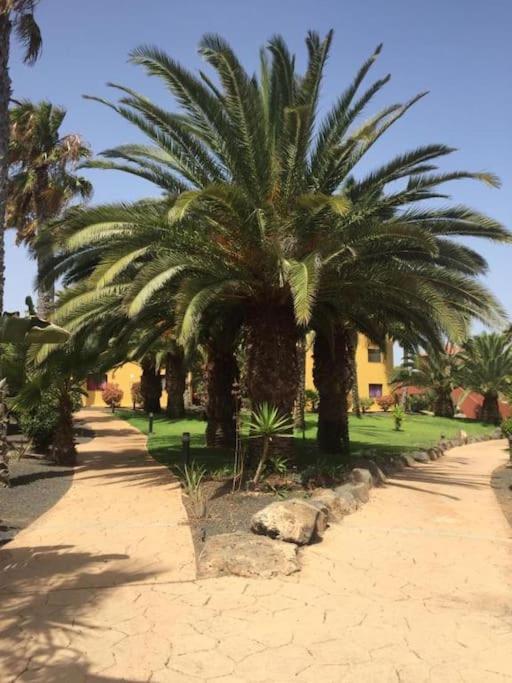 Cumbre Vieja Fuerteventura Appartamento Corralejo