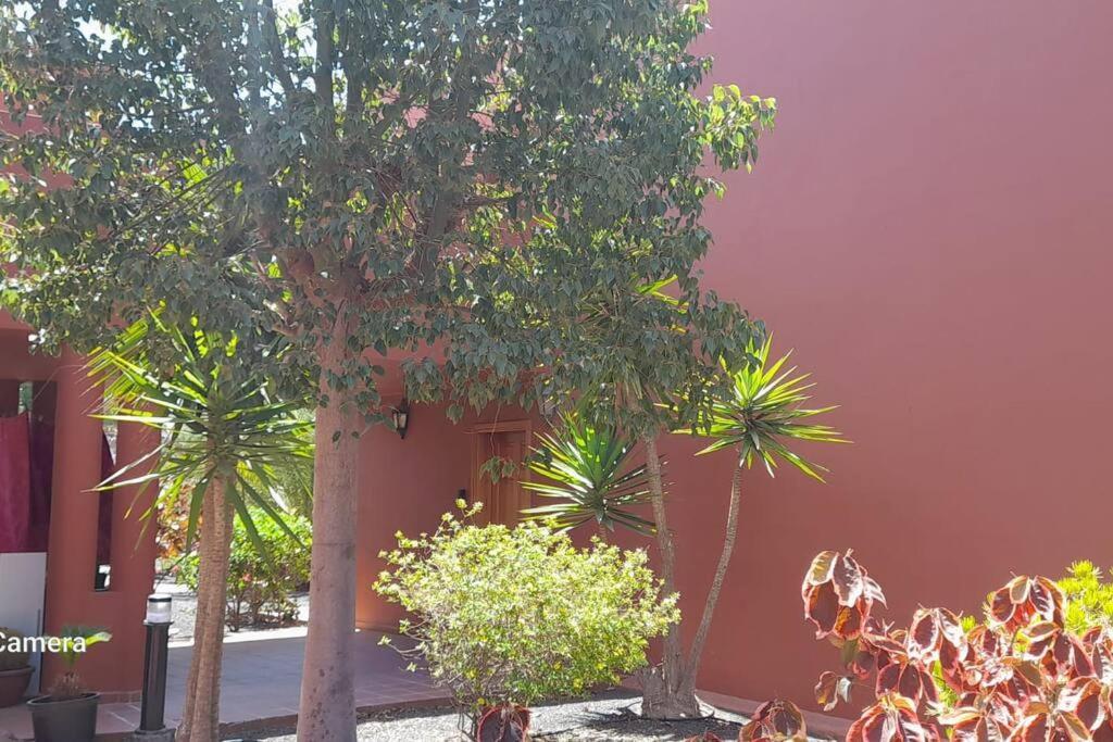 Appartamento Cumbre Vieja Fuerteventura Corralejo