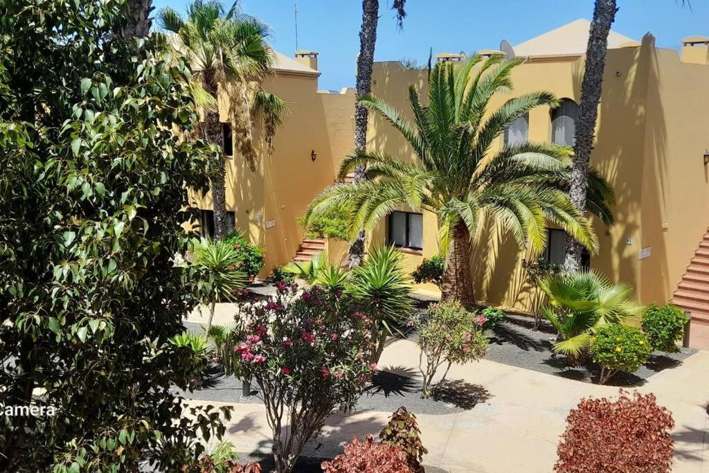 Cumbre Vieja Fuerteventura Appartamento