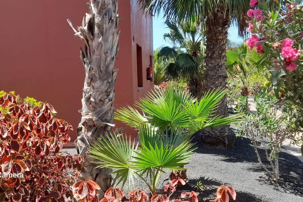 Apartament Cumbre Vieja Fuerteventura